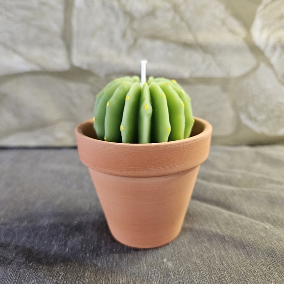 Homemade Beeswax Succulent/Cactus Pot Candles - Picture 4 of 8